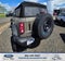 2025 Ford Bronco Badlands 4x4