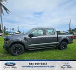 2025 Ford F-150 STX 4x4