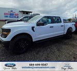 2025 Ford F-150 STX 4x4